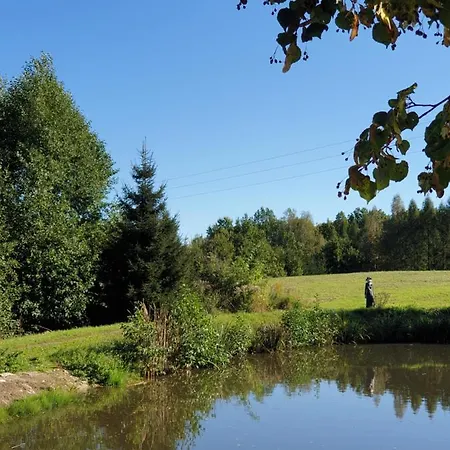 Nad Stawami Apartment Olszyna (Lower Silesia)