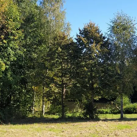 Nad Stawami Olszyna