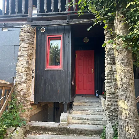 Nad Stawami Apartment Olszyna (Lower Silesia)